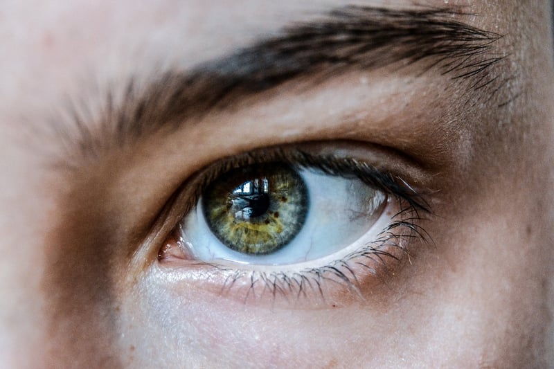 Eye of Knowledge
